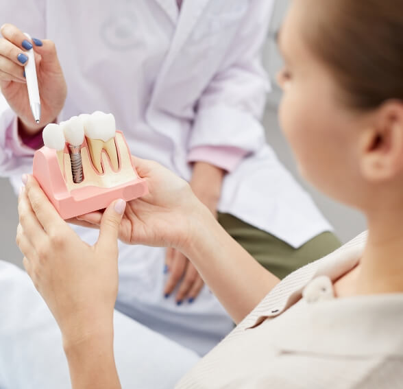 team member holding implant model